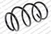 ROC CS7039 Coil Spring